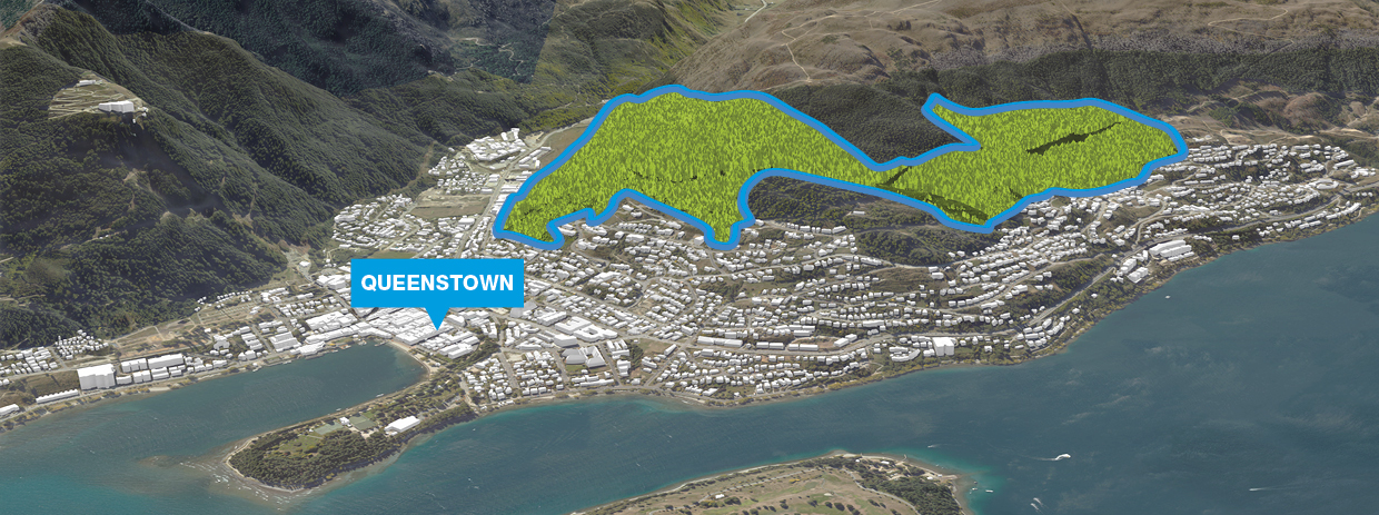 QLDC Queenstown Hill Forestry Management Plan Engagement May25 Images 01