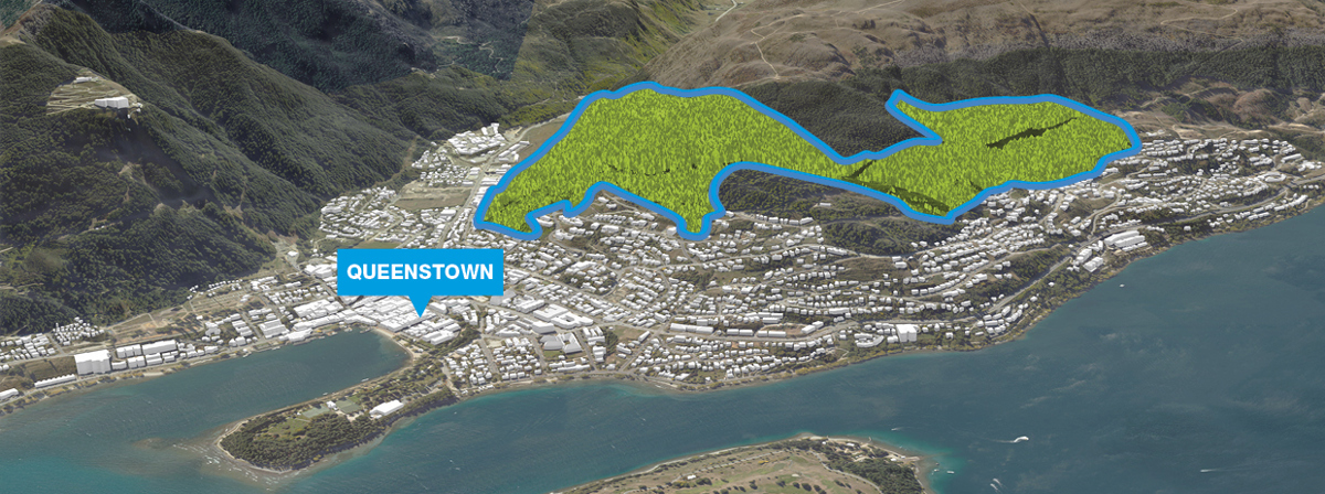 QLDC Queenstown Hill Forestry Management Plan Engagement May25 Images 01