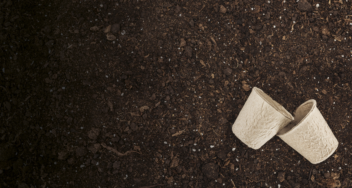 Climate Web Page Hero Soil