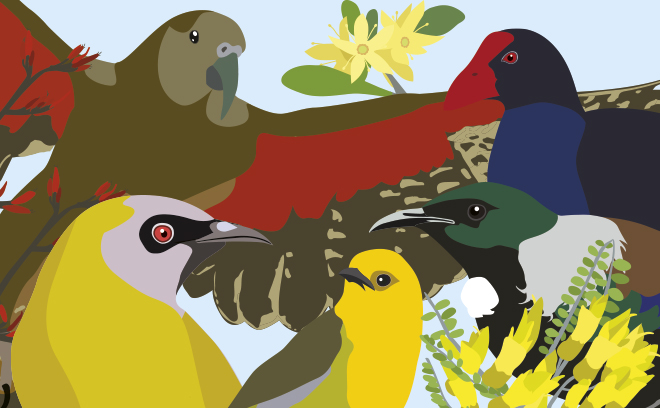 QLDC Climate Website Page Image Art Competition 660 X 408 (1)