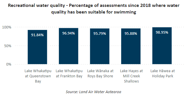 2025 01 06 09 52 12 Queenstown Lakes Wellbeing Dashboard And 1 More Page Work Microsoft​ Edge