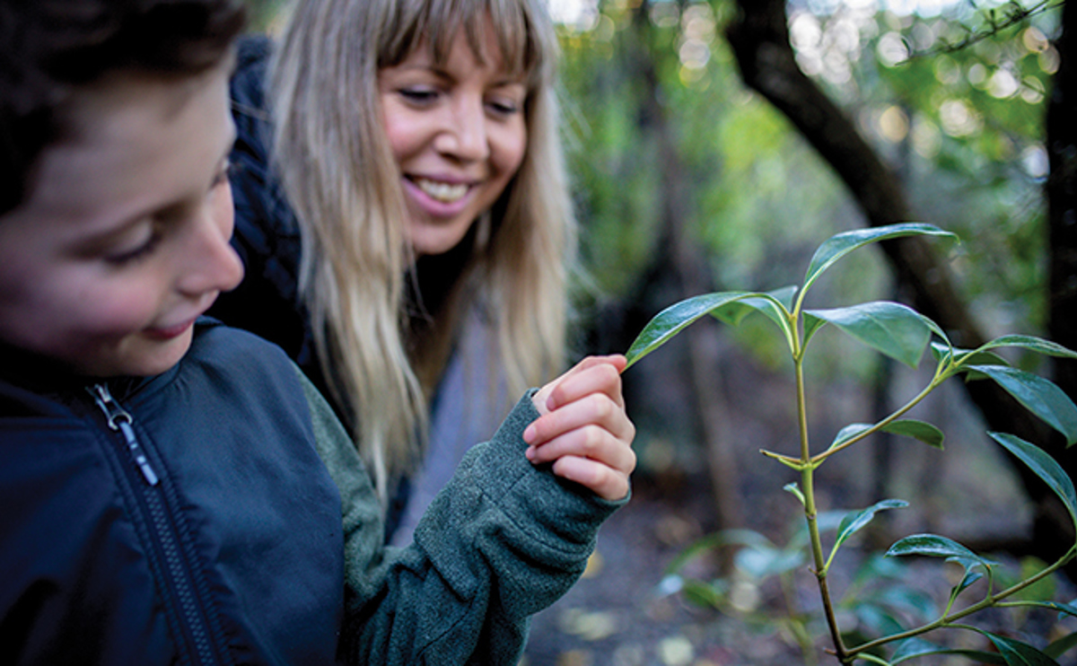 Content Page Measuring Progress (1)