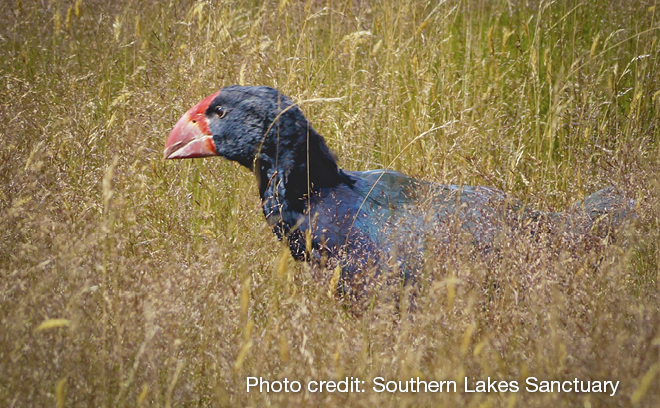 QLDC Climate Website Page Image Update 660 X 408 Oct26 TAKAHE