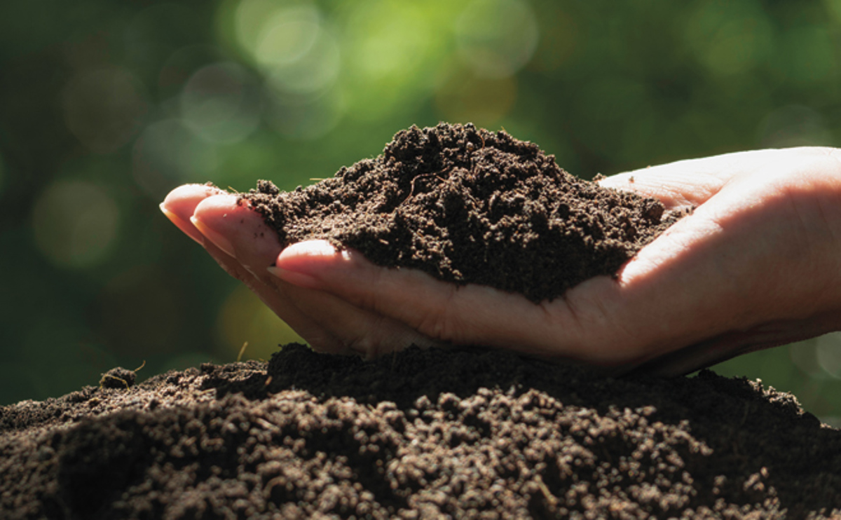 Qldc Climate Website Page Image Update 660 X 408 Feb26 5