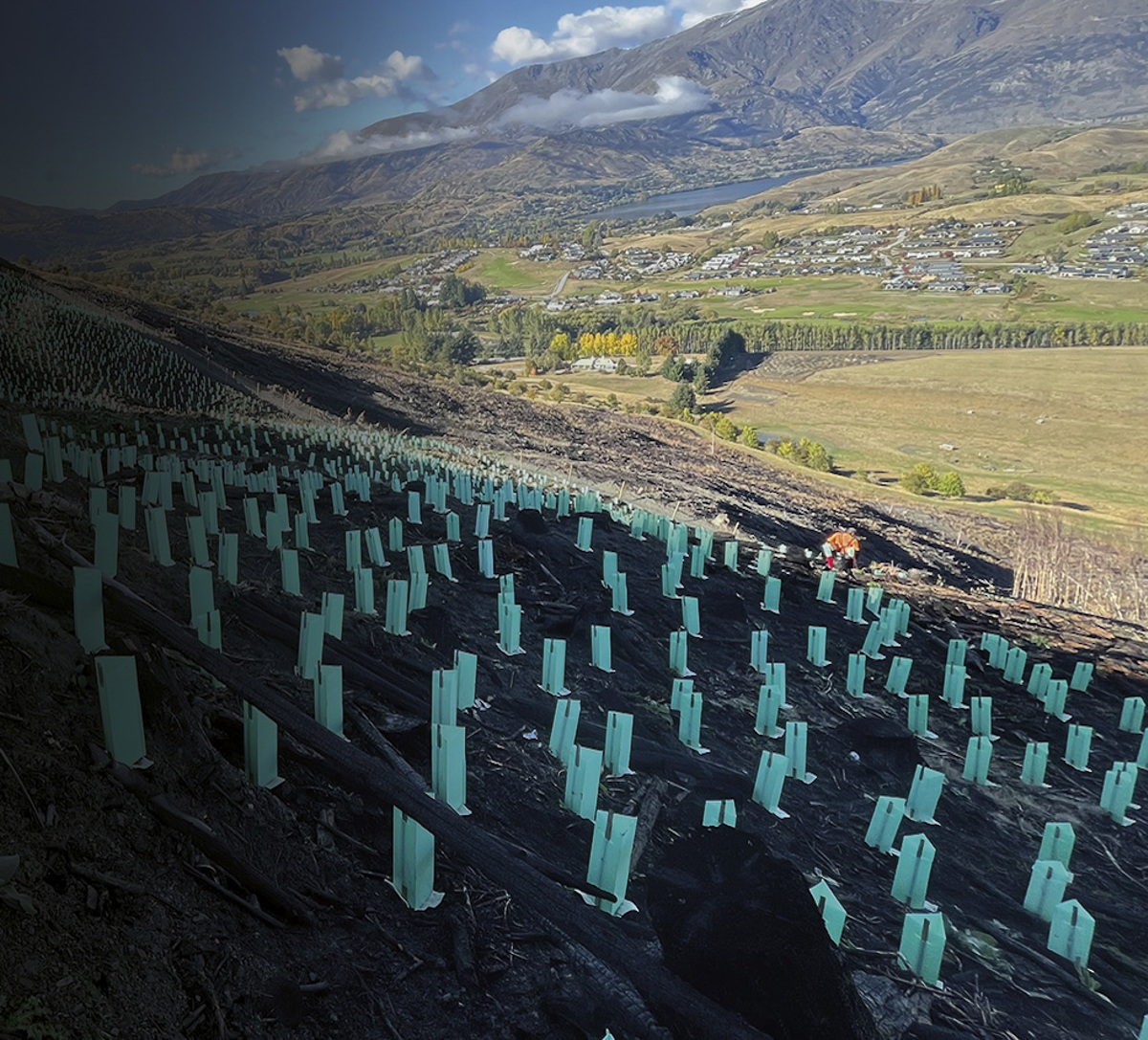 Climate Web Page Hero Project Tohu Edited